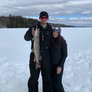 Meet your Posher, Robby